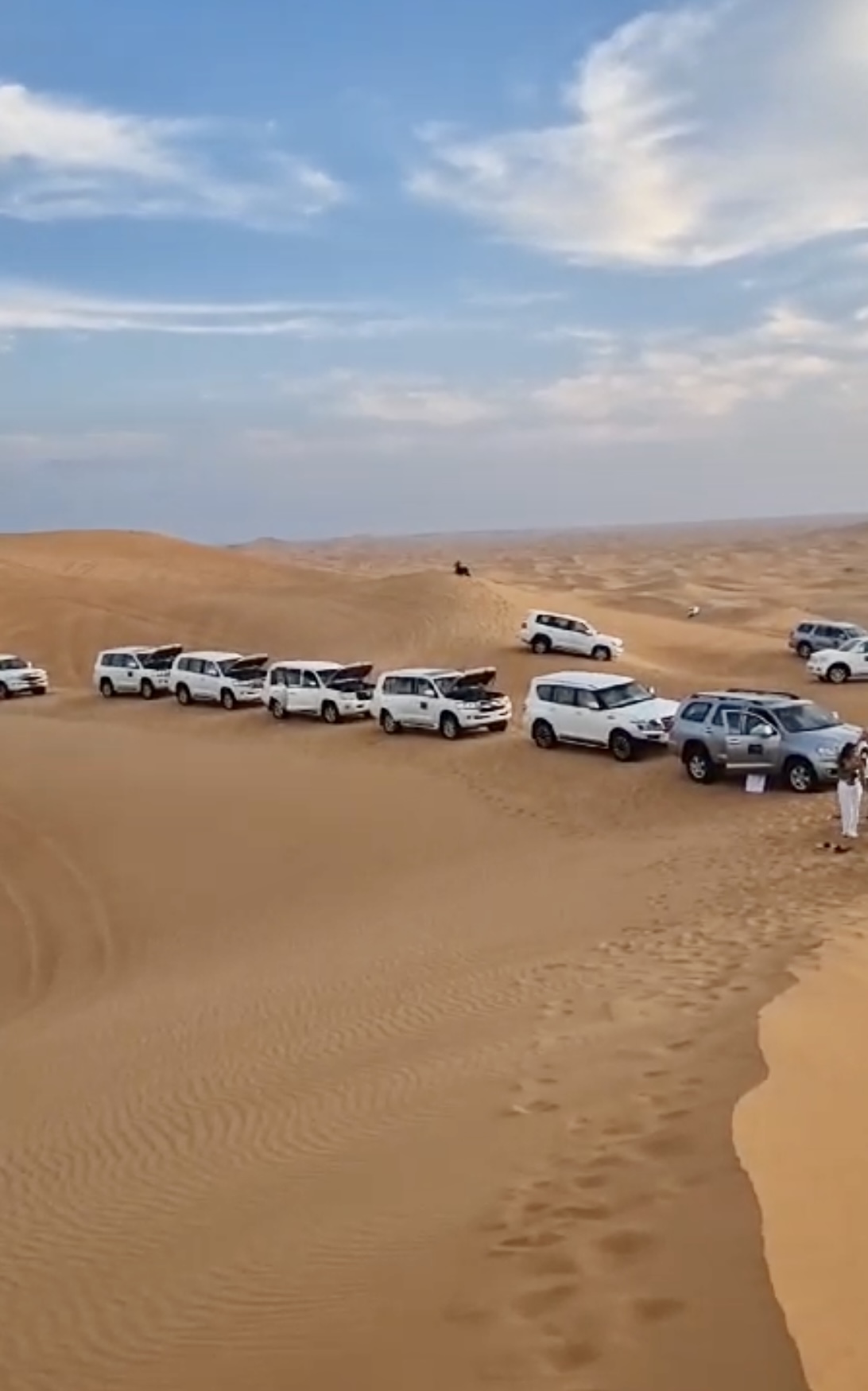 Investmentreise Dubai